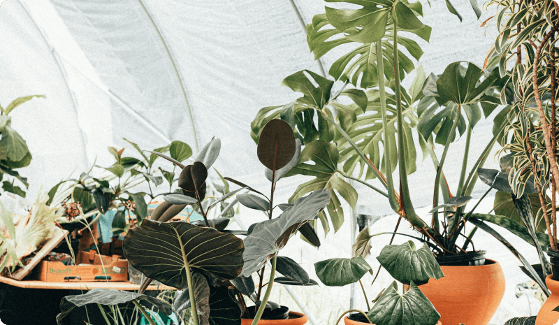 Reader’s Look On An Important Steps Needed